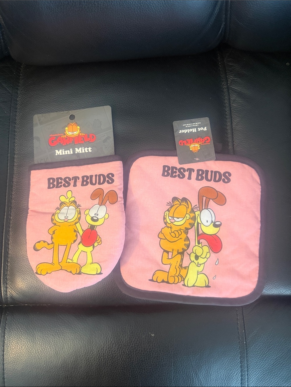 Garfield 'Best Buds' Pink Pot Holder